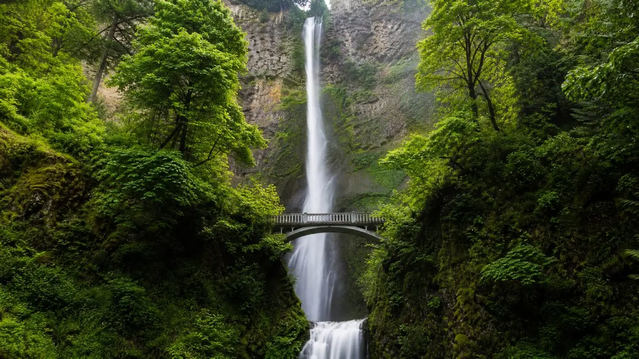 Multnomah Falls dropping in two tiers past a stone footbridge