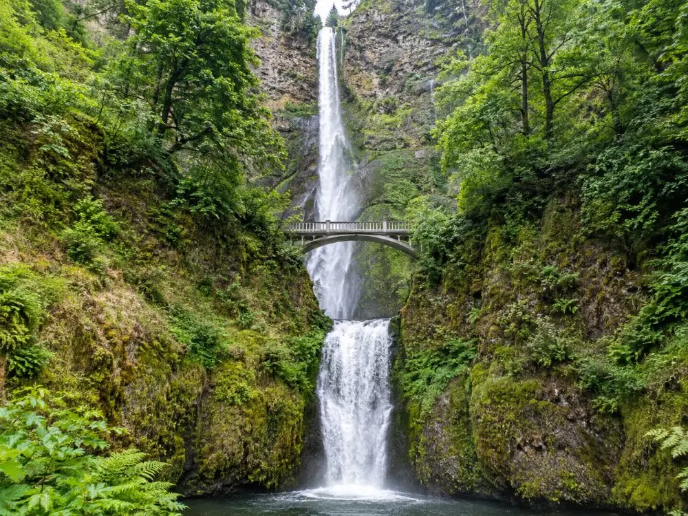 Portland: Mt. Hood Day Tour